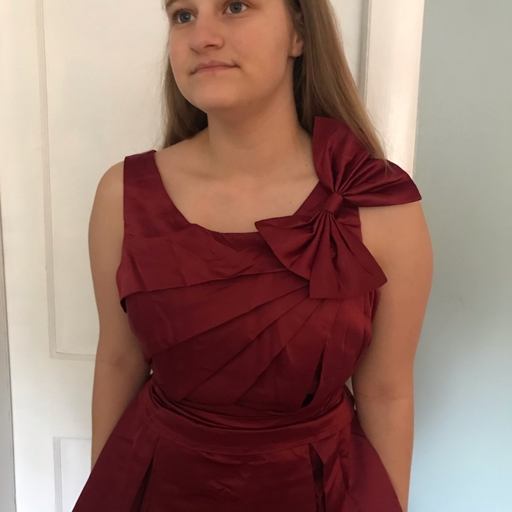 NWT Cherlone Deep Rose Dress size 16/18